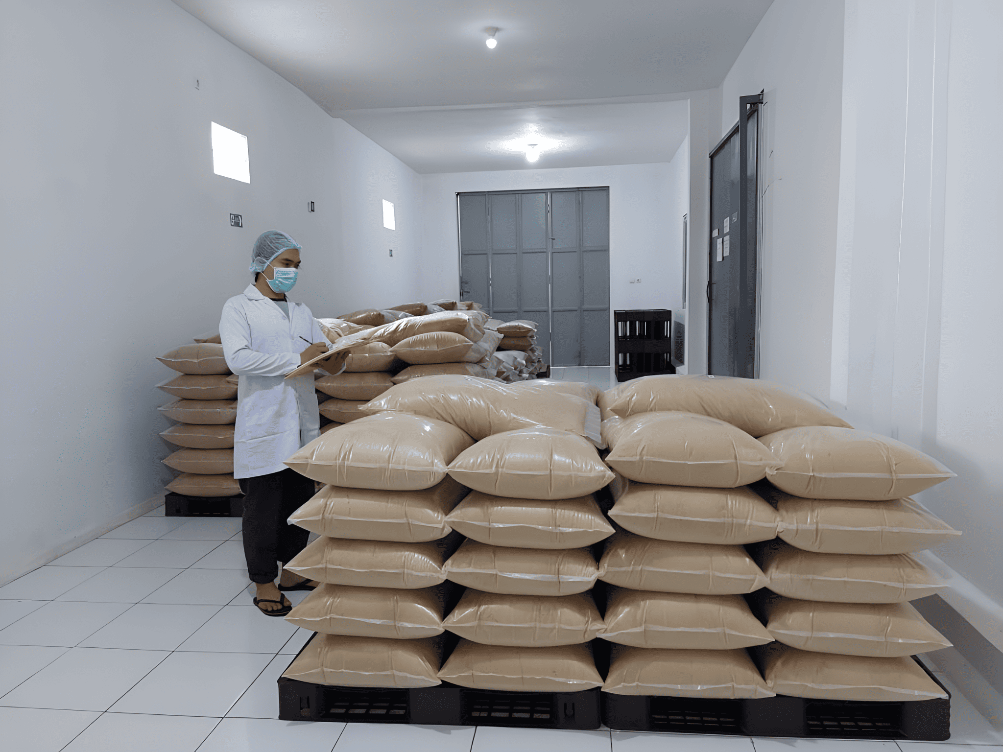 Coconut sugar packed in sealed bags, ready for quality inspection