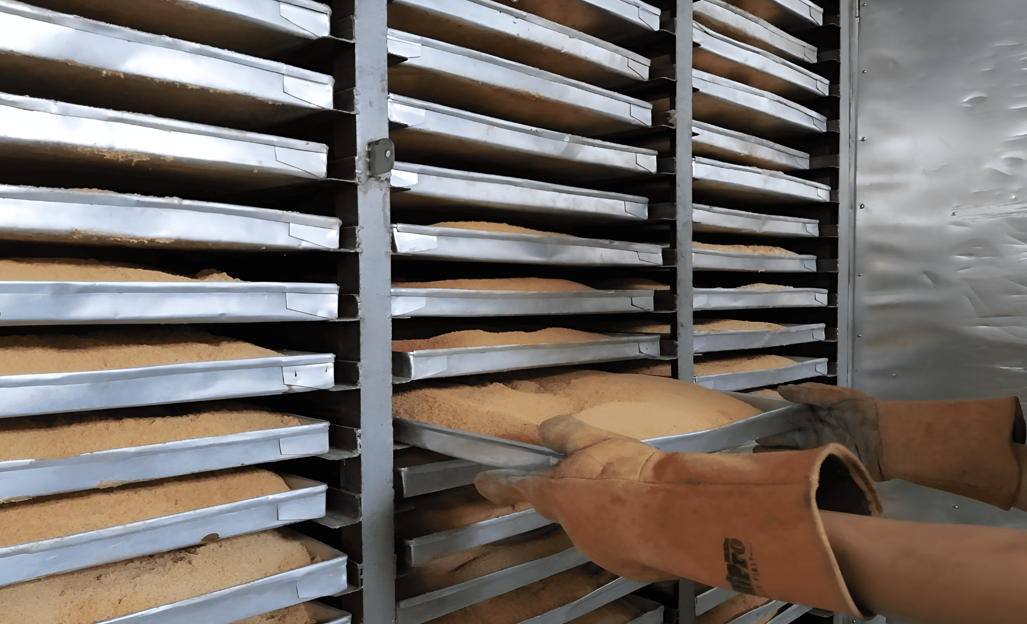Coconut sugar spread across drying trays